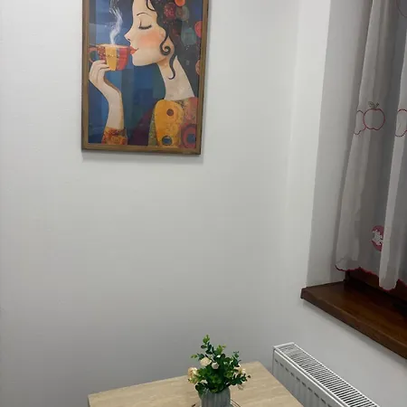 Casa Augusta דירה טימישוארה
