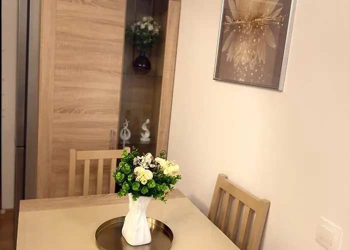 Casa Augusta * Timişoara