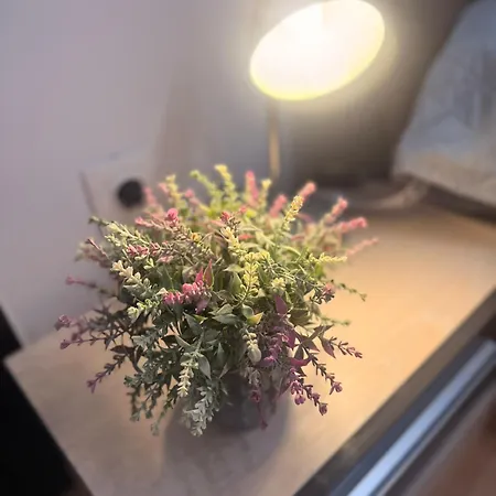 Casa Augusta Apartment *