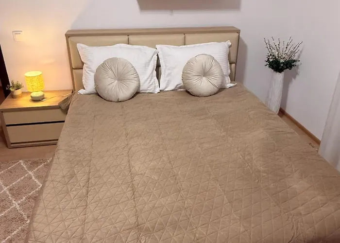 Casa Augusta Apartment Timisoara