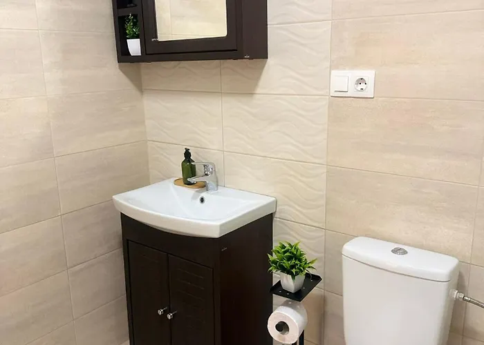 Casa Augusta Apartment Timisoara