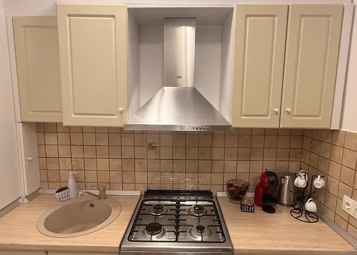 Apartment Casa Augusta Timisoara